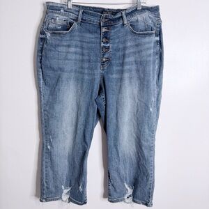 Judy Blue‎ Wide Leg Jean Exposed Button Fly Distressed Plus Size 22W Cropped